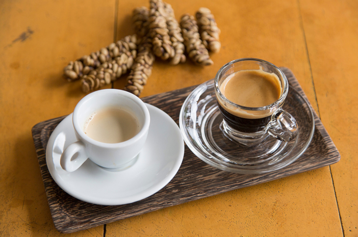 manfaat kopi luwak bagi kesehatan