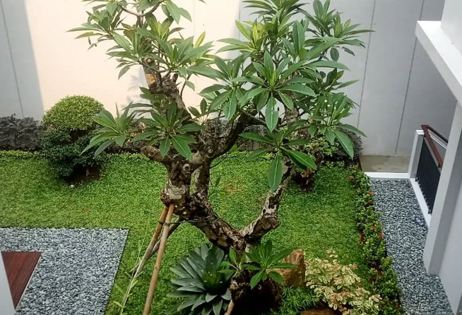 Inspirasi Desain Taman Modern untuk Hunian yang Terasa Nyaman