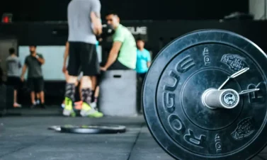 panduan latihan di aplikasi fitness