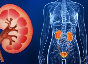 penyebab gagal ginjal